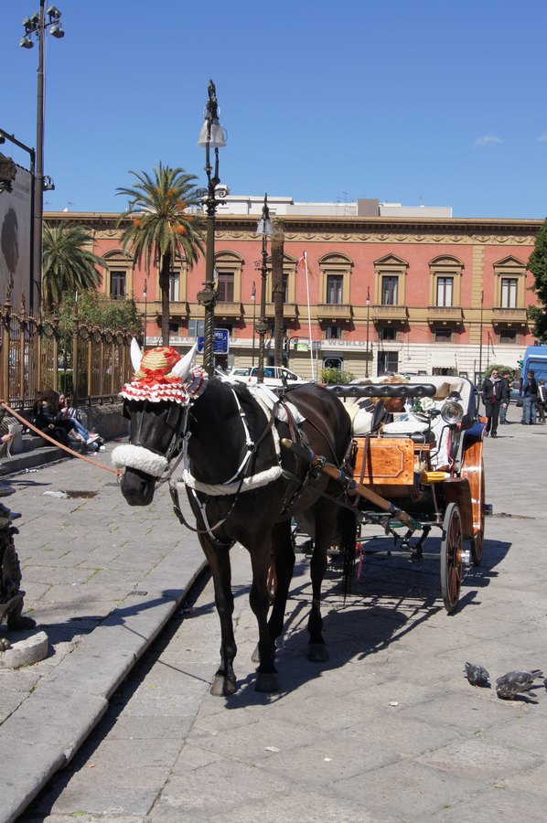 Palermo 34.JPG